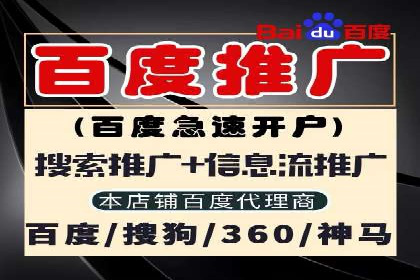 竞价推广成功案例解析